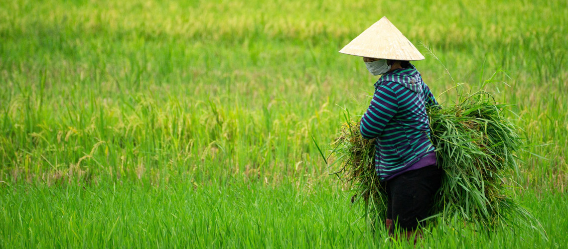 Agricultural