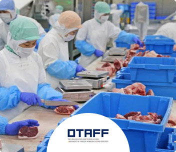 Food and beverage Manufacturing